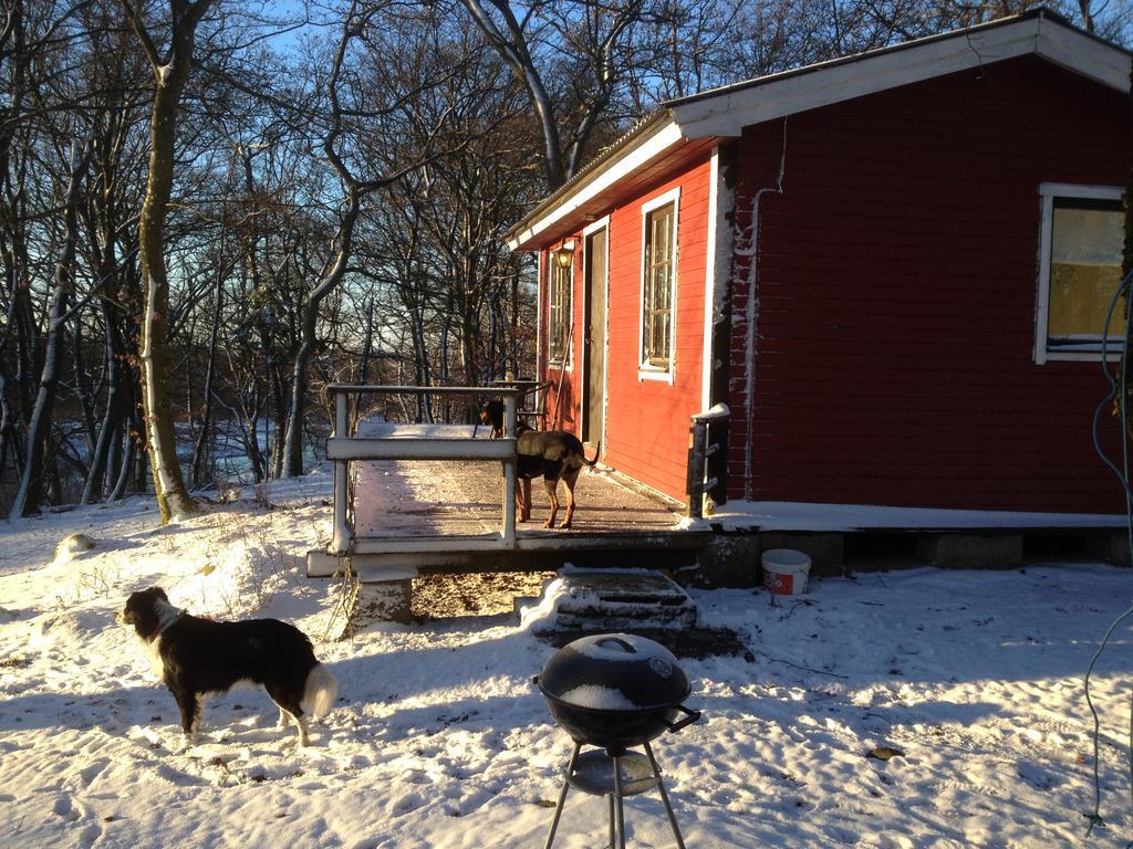 Farm Stay Happy Dogs Ranch Veberöd Exterior foto